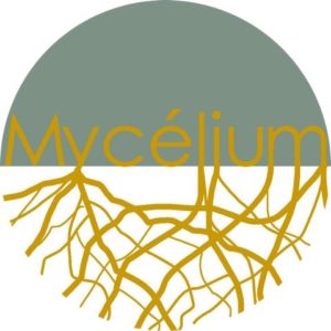 Mycélium