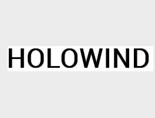 Holowind