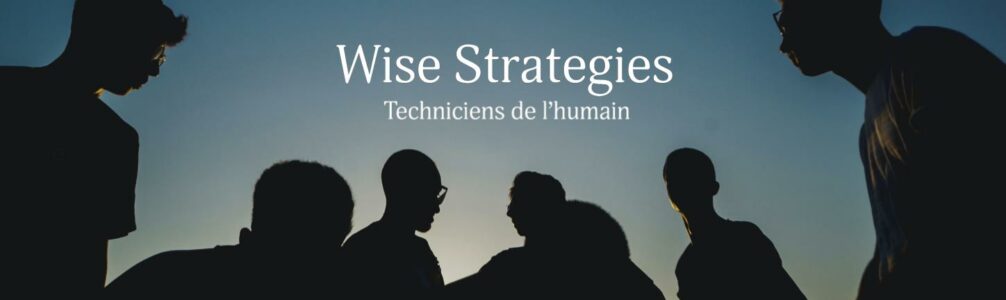 Wise Strategies Consulting