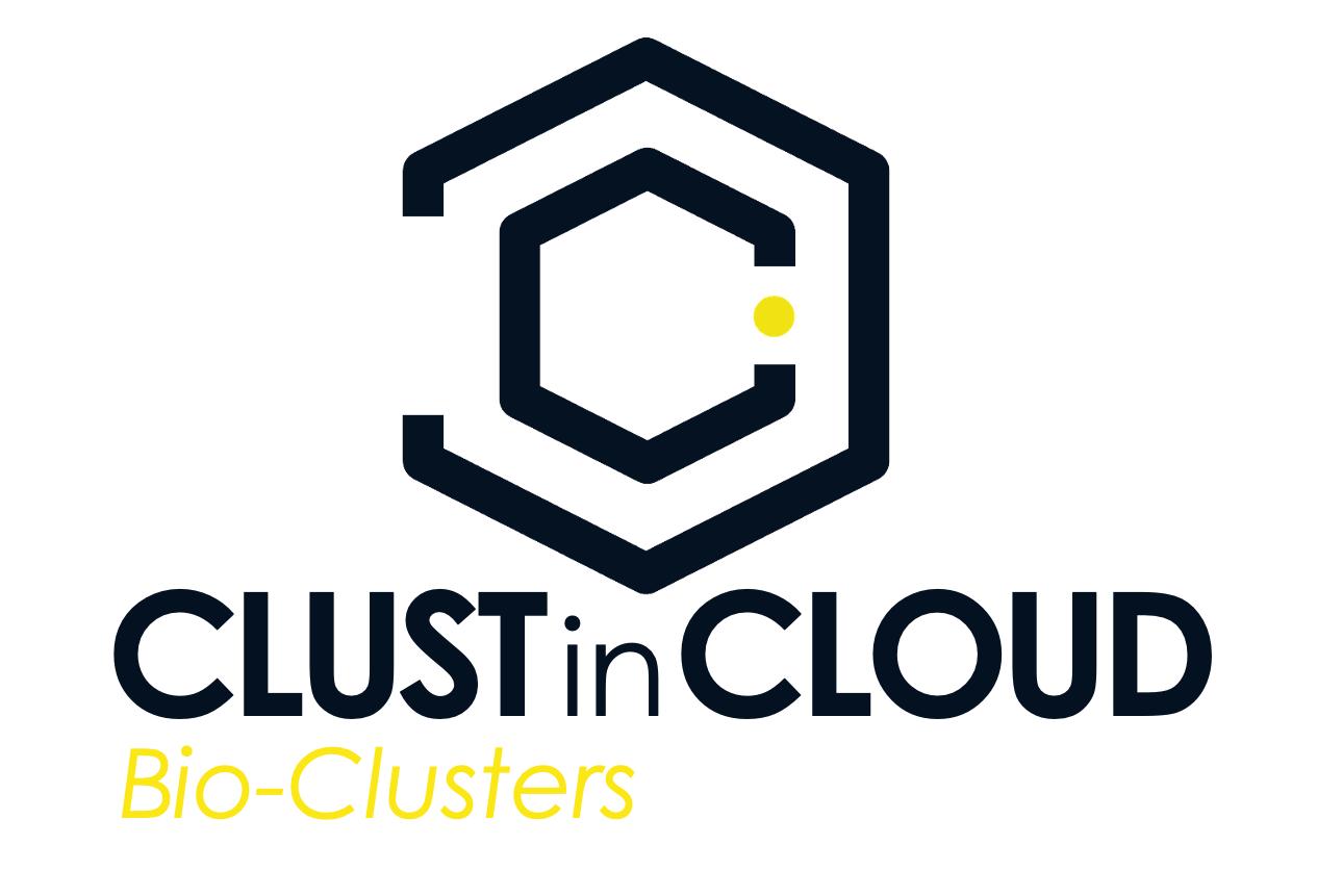 CLUST IN CLOUD