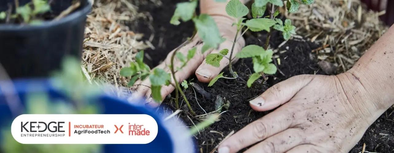 Incubateur AgriFoodTech Marseille | Promotion 2026