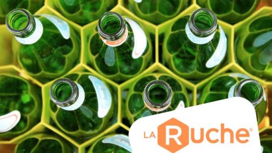 Programme Transition – Appel à candidatures structures ESS, mentors et experts