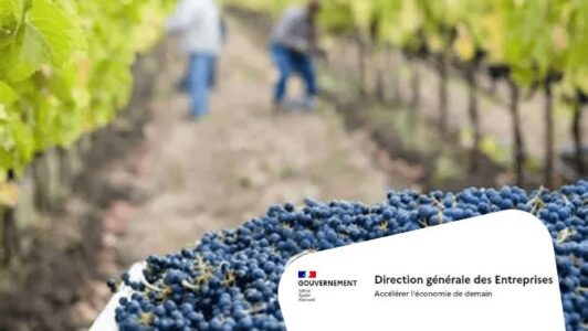 Concours d’innovation œnotouristique : Wine Tourism Innovation Challenge