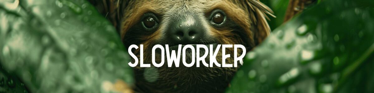 Apéro freelance Sloworker